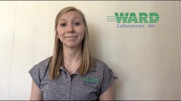 Tuesday Video Series with Ward Labs Team