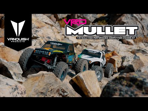 VRD Mullet - Business and Party - Vanquish Products