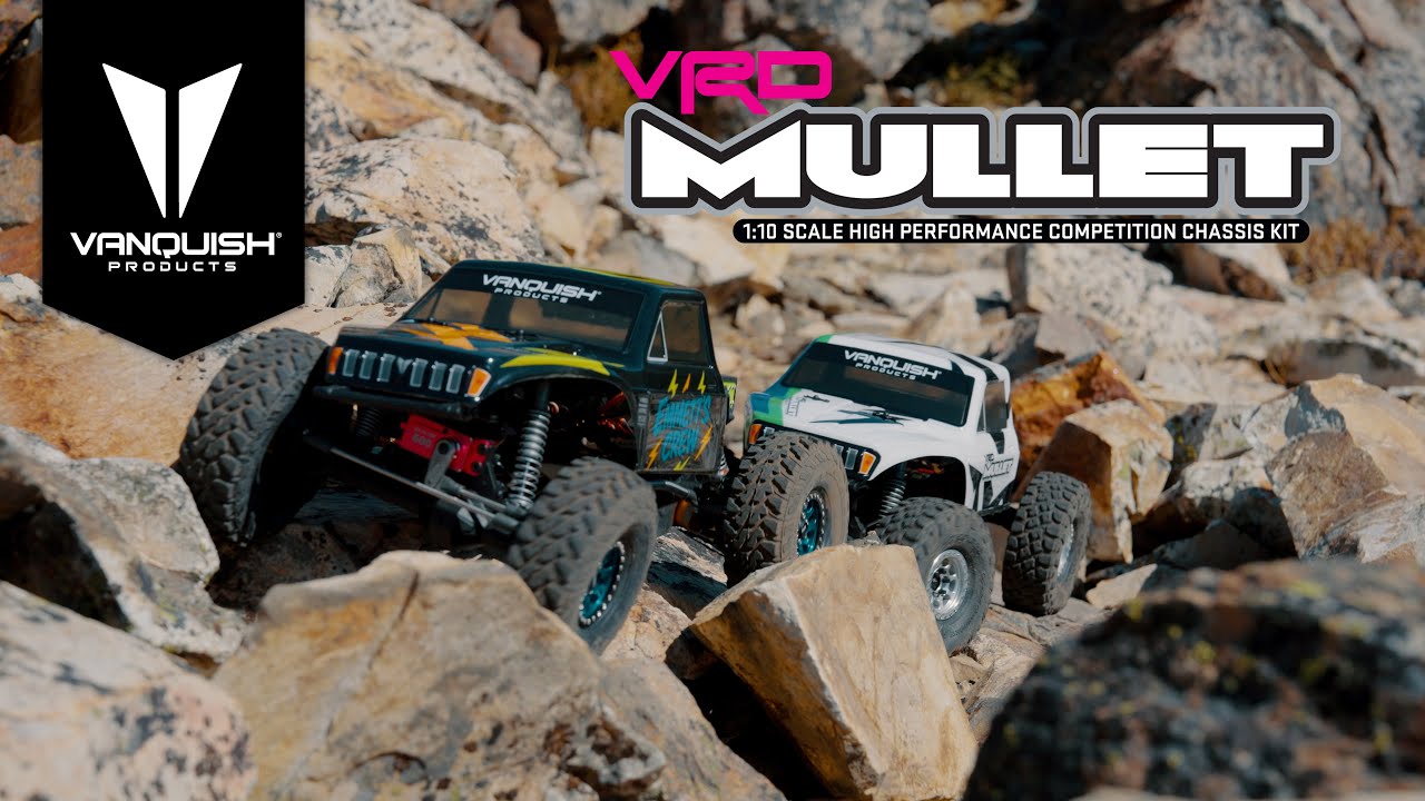 VRD Mullet - Business and Party - Vanquish Products