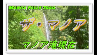 【ハワイ】Manoa Falls今年の見納め～癒し映像～😃