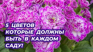 5 цветов которые обязательно должны быть в каждом саду!