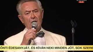 Video thumbnail of "Hollay Bertalan: Megfordítom kocsim rúdját"