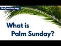What is Palm Sunday | Holy Week / Passion Week | GotQuestions.org