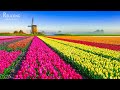 музыка мира во всем мире 🌷 Нежная лечебная музыка здоровья и для успокоения нервной системы #1