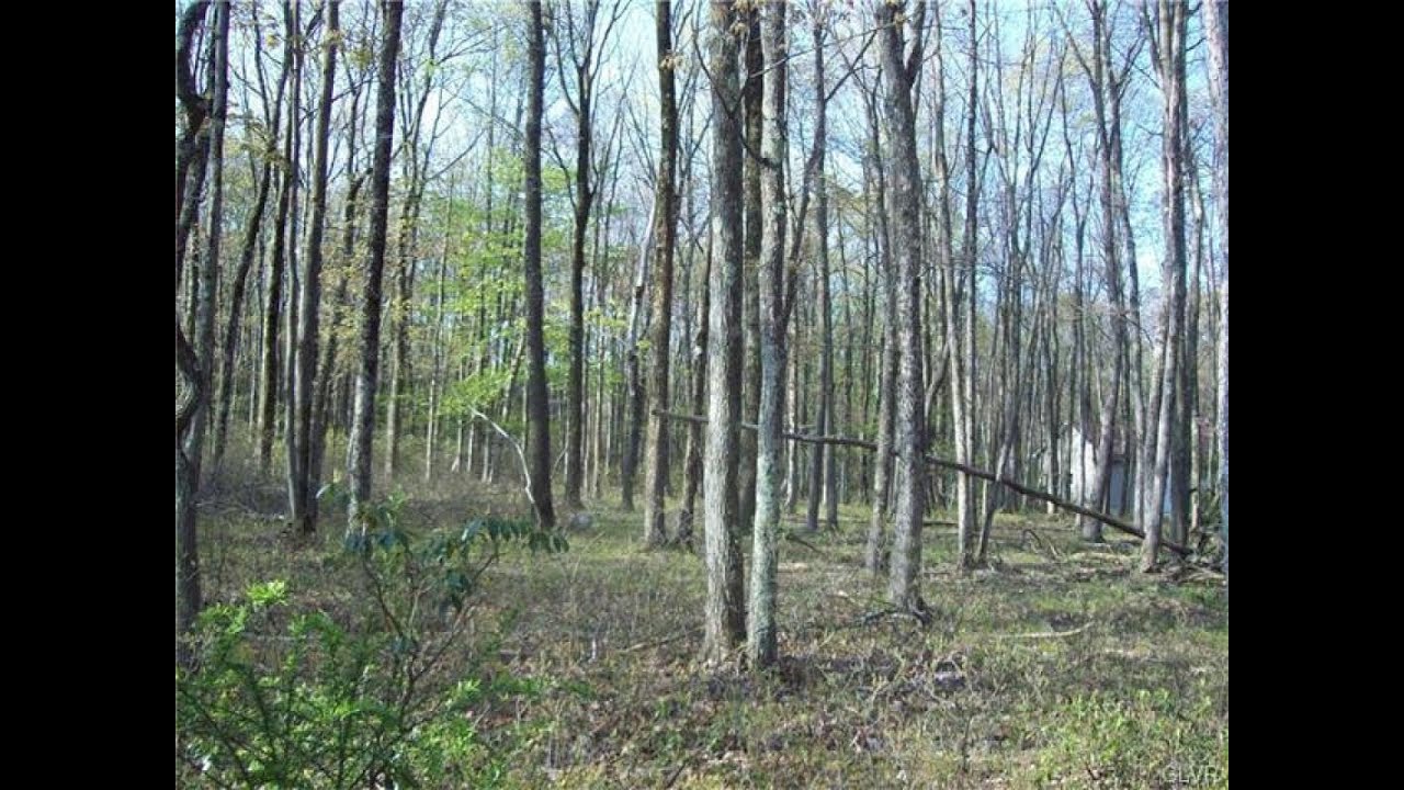 Lots And Land for sale 79 Bayberry Road, Penn Forest Township, PA