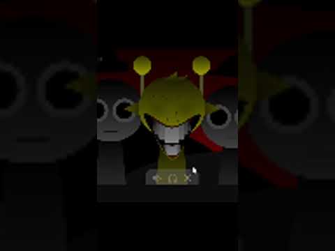 Minha Experiência no