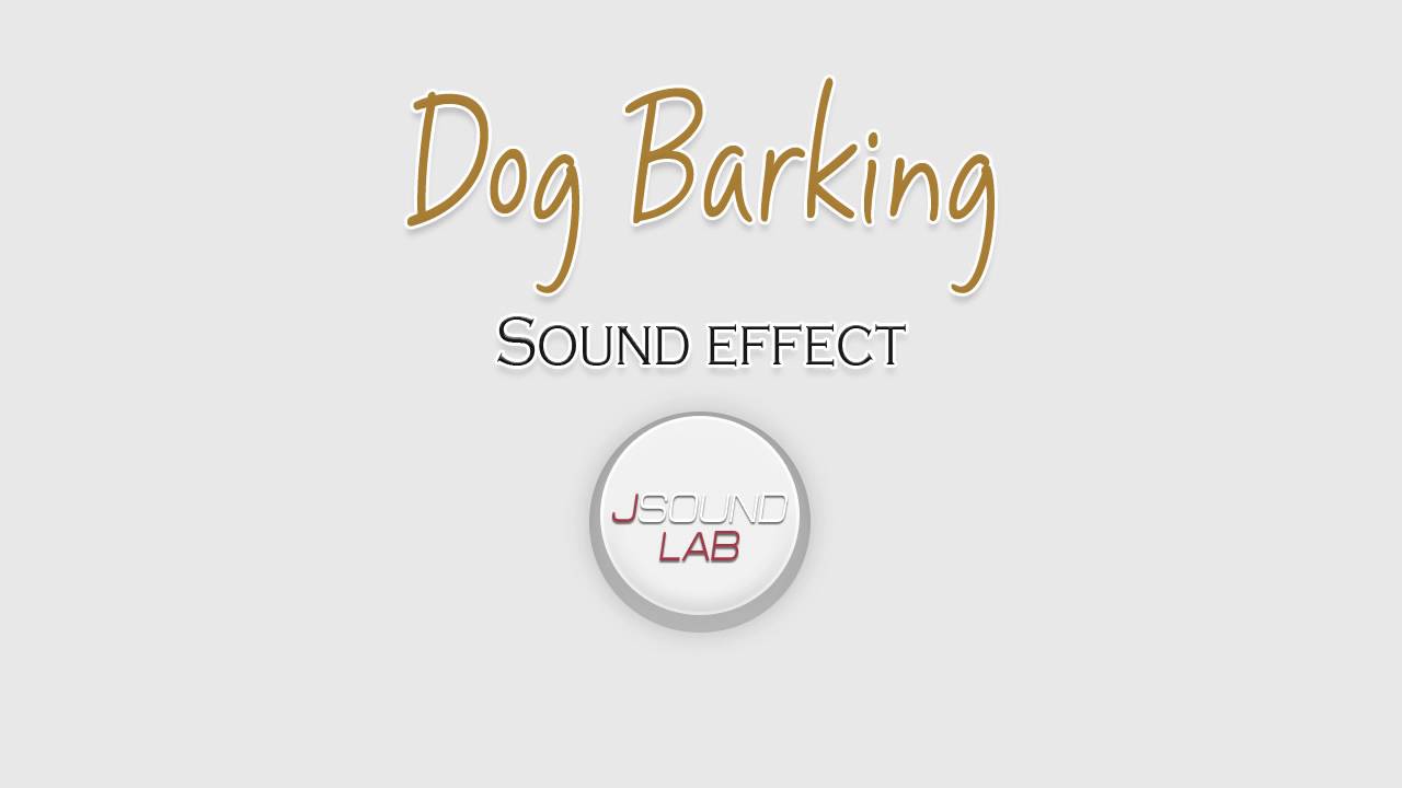 Funny Dog Barking Ringtone Download Funny Dog Barking Ringtone Download