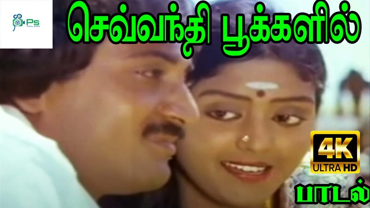    Sevvanthi Pookalil BhanupriyaVasanthLove Duet melody H D Song