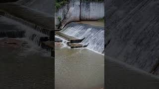 Jhikimiki Dam 🌊 🌊 is located approximately 17-19 km from Bhawanipatna,  Kalahandi