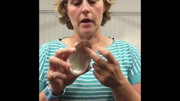 Great Guitar Build Off 2020 Unofficial