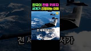 한국이 판을 키우자/세계가 긴장하는 이유