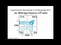Immunology Fall 2019 Lecture 19: T Cell Trafficking