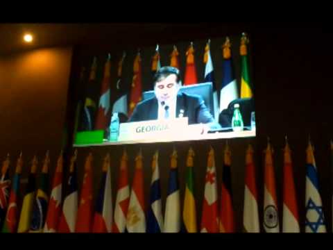 სიტყვით მიმართვა სამიტზე