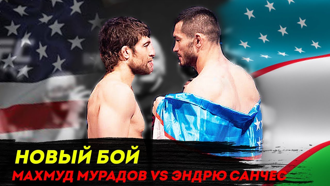 АНА ХОЛОС! Makhmud Muradov vs. Andrew Sanchez / МАХМУД МУРАДОВ vs ЭНДРЮ САНЧЕС НИГОХЛАР ЖАНГИ