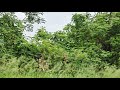 Kolkata to bardhaman on a highway