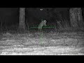 22 LR rabbit control along side .22 SUB 12 rat control 🎯 Vol3