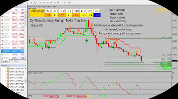 Short Intro To Cynthia