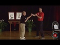 Nelson chan in kung fu masters teaching ving tsun secrets