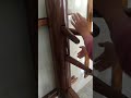 Wooden Dummy de pared con rebote