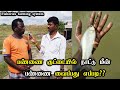 பண்ணை குட்டையில் நாட்டு மீன் பண்ணை வைக்க ஆசையா? I How to put fish farm in farm pond? Aquaculture