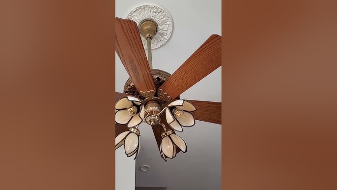 Old Jacksonville Ceiling Fan Nichols