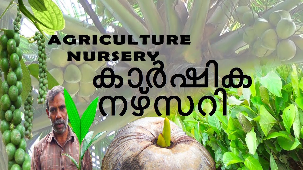 Greenland nursery padupp YouTube