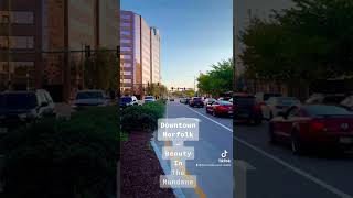 Downtown Norfolk, beauty in the common place. #NorfolkVA  #DowntownNorfolk