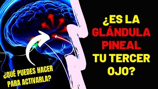 QUÉ ES Y PARA QUÉ SIRVE LA GLÁNDULA PINEAL | ABRE TU TERCER OJO