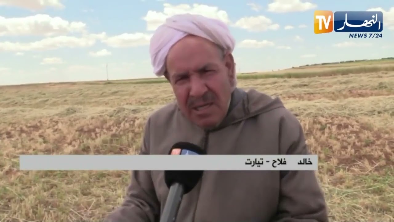 تيارت / فلاحون يلجأون الى زراعة الشوفان المسقي وحصاده توفيرا للأعلاف محليا