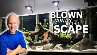 AQUASCAPE Upgrade for 180G South American CICHLID TANK