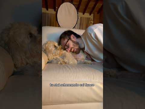 Ciuffo In Lungo Chico Divertente Canedivertente Cane Funny