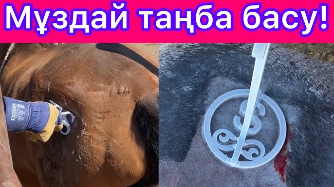 Түнде тұрған секс суреттері