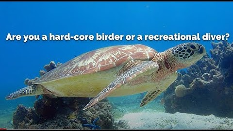 iGoTerra - The Ultimate Wildlife Listing Website