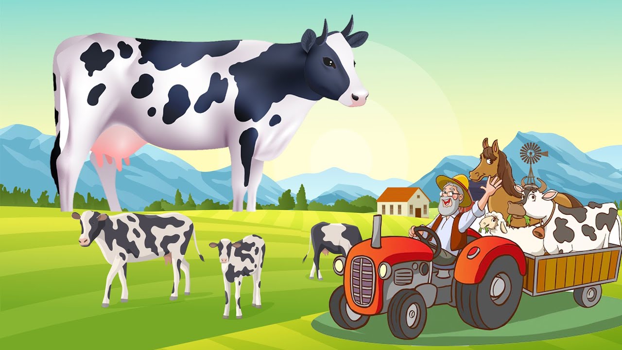 LUCU...!Sapi Moo Belang, Sapi Warna Warni Di Angkut Mobil Truk Oleng ...