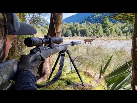 Video: Je Mega NZ varna?