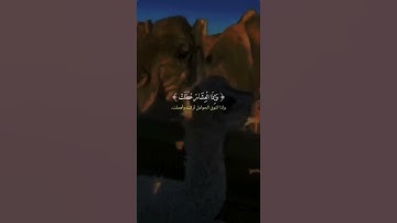 إذا الشمس كورت | الشيخ عبد الباسط عبد الصمد حالات واتس اب دينية قصيرة قران كريم