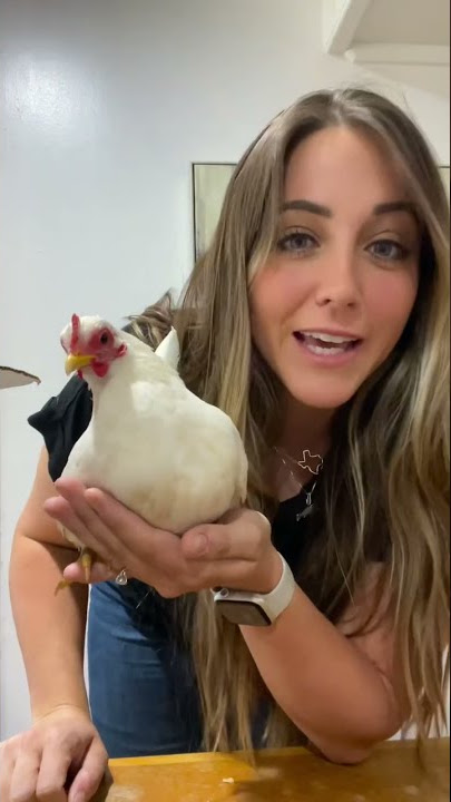 Unboxing my NEW Serama Hen🤍🐓