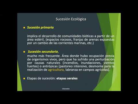 Teorico 5 Sucesion y Energía en Agroecosistemas