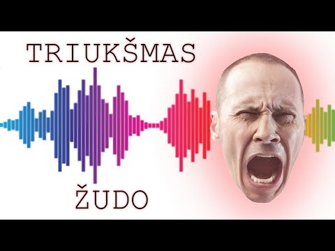 Video: Koks sklindantis triukšmas važiuojant per nelygumus?