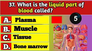 General Knowledge Trivia Quiz | Test Your Brain with Fun Questions & Ultimate Challenge Today!