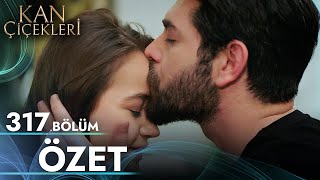 Kan Çiçekleri 317. Bölüm - Özet