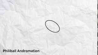 Bouncy Ball (30 FPS) video test