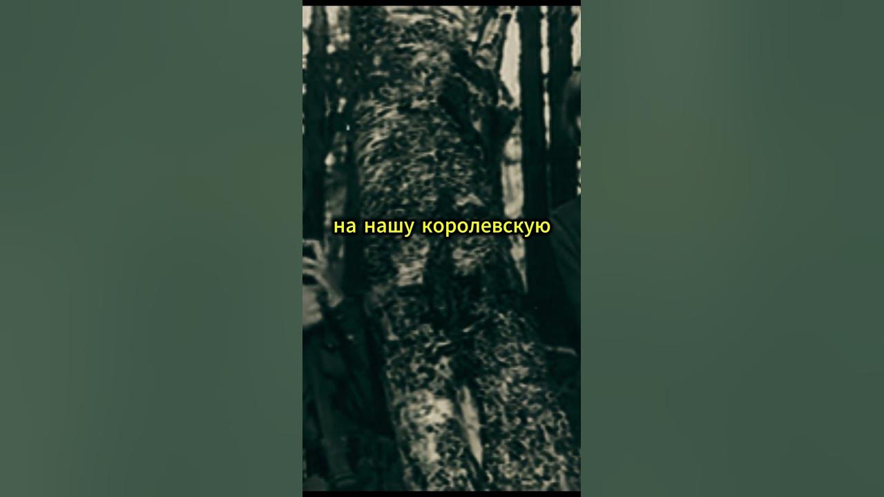 Когда стойкость ведет к победе: сцены героизма #староекино #сериал # ...