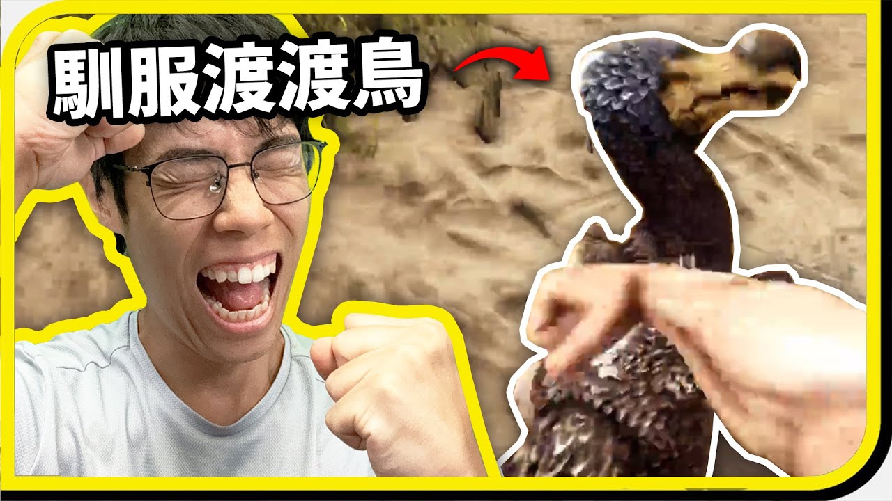 恐龍時代生存！渡渡鳥挨揍後竟乖乖成寵物？
