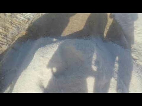 غسيل الملح الصخرى في واحه سيوه