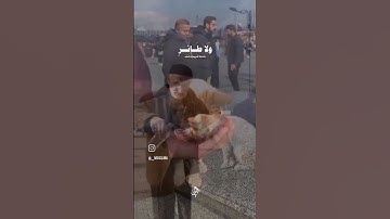 "تلاوة خاشعة للشيخ المنشاوي مع مشهد إنساني مؤثر لرجل يُطعم قطة" #القرآن_الكريم #اكسبلور