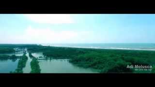 Dji phantom 3 pro - Mangrove Indramayu