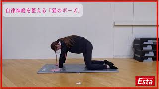 #おうちで過ごそう　#StayHome　【ESTA】自律神経を整える〜猫のポーズ〜