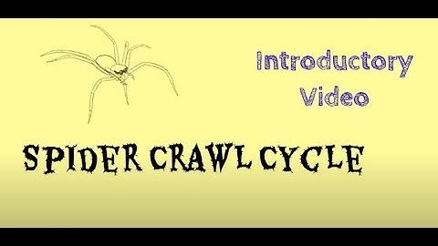 Spider Walk Cycle (Introductory Video)