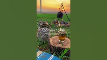 تلاوه خاشعه صوت جميل🤍#الله #قران_كريم #قرآن #اللهم_صل_وسلم_على_نبينا_محمد #تلاوة_خاشعة #ترتيل